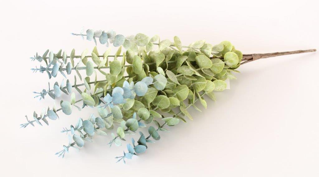 Eucalyptus 11 Stem Bunch